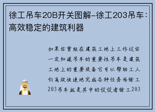 徐工吊车20B开关图解-徐工203吊车：高效稳定的建筑利器