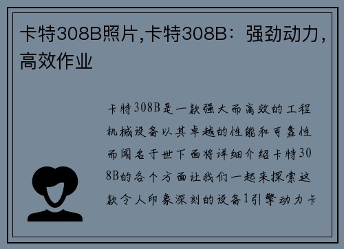 卡特308B照片,卡特308B：强劲动力，高效作业